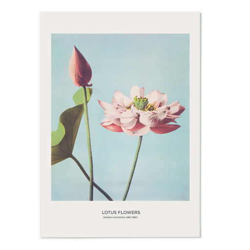 Lotus Art Print - MJ Design Studio