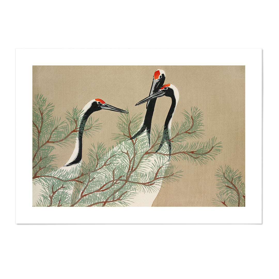 Cranes from Momoyogusa Art Print