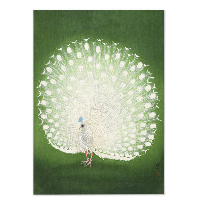 Peacock Ohara Koson Art Print - MJ Design Studio