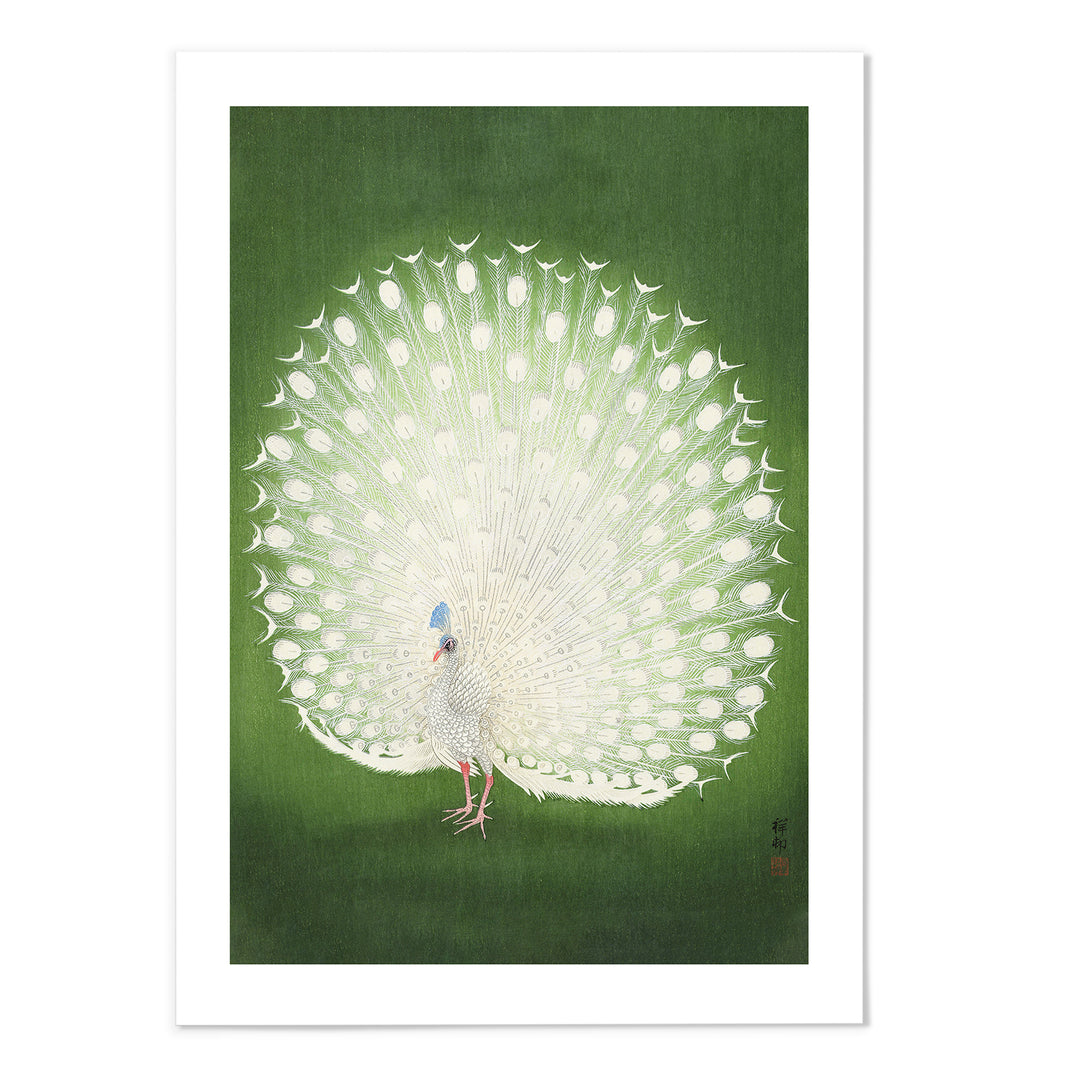 Peacock Ohara Koson Art Print - MJ Design Studio