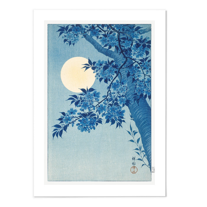 Blossoming Cherry On A Moonlit Light