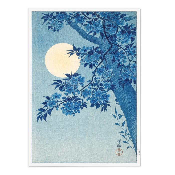 Blossoming Cherry On A Moonlit Light
