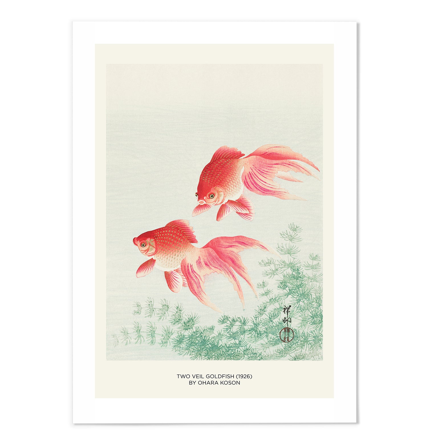 Two Veil Goldfish Art Print
