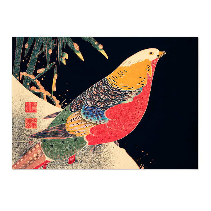 Golden Pheasant in the Snow Art Print