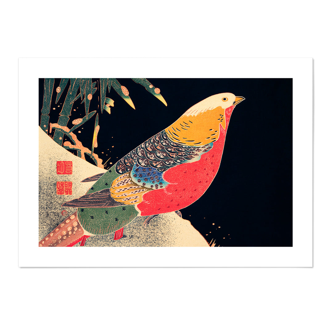 Golden Pheasant in the Snow Art Print