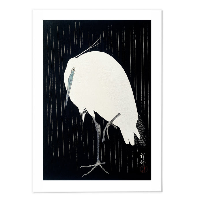 Egret in the rain