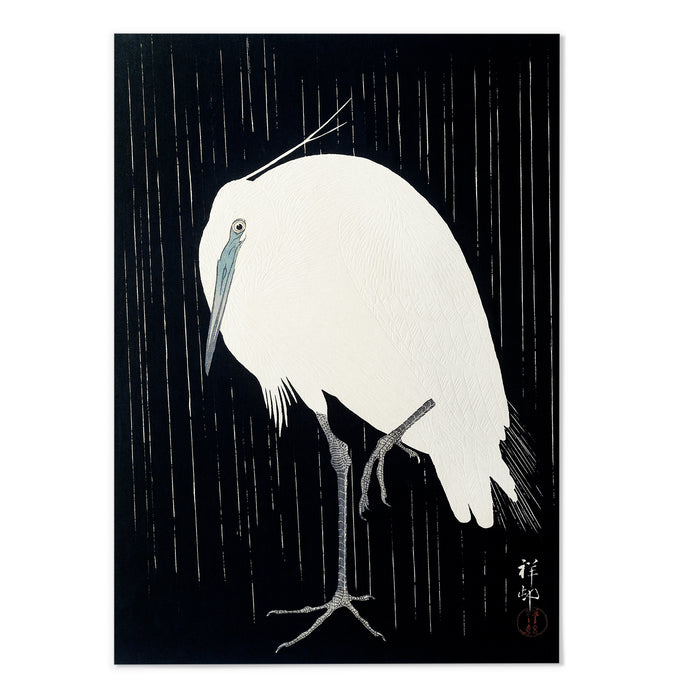 Egret in the rain