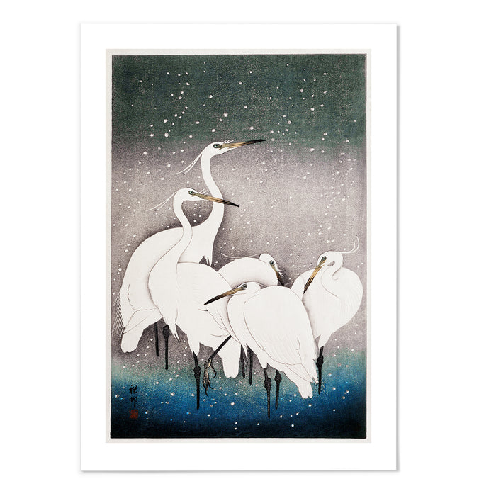 Group of Egrets
