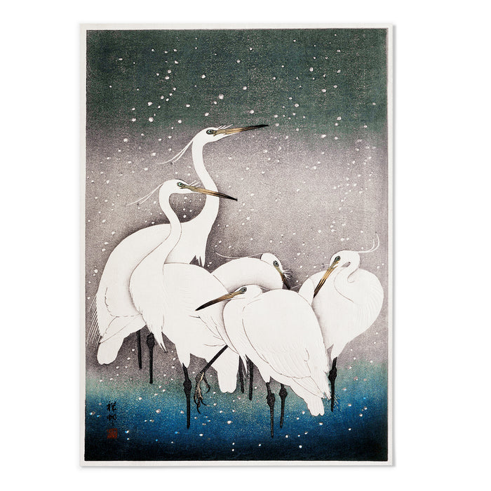 Group of Egrets
