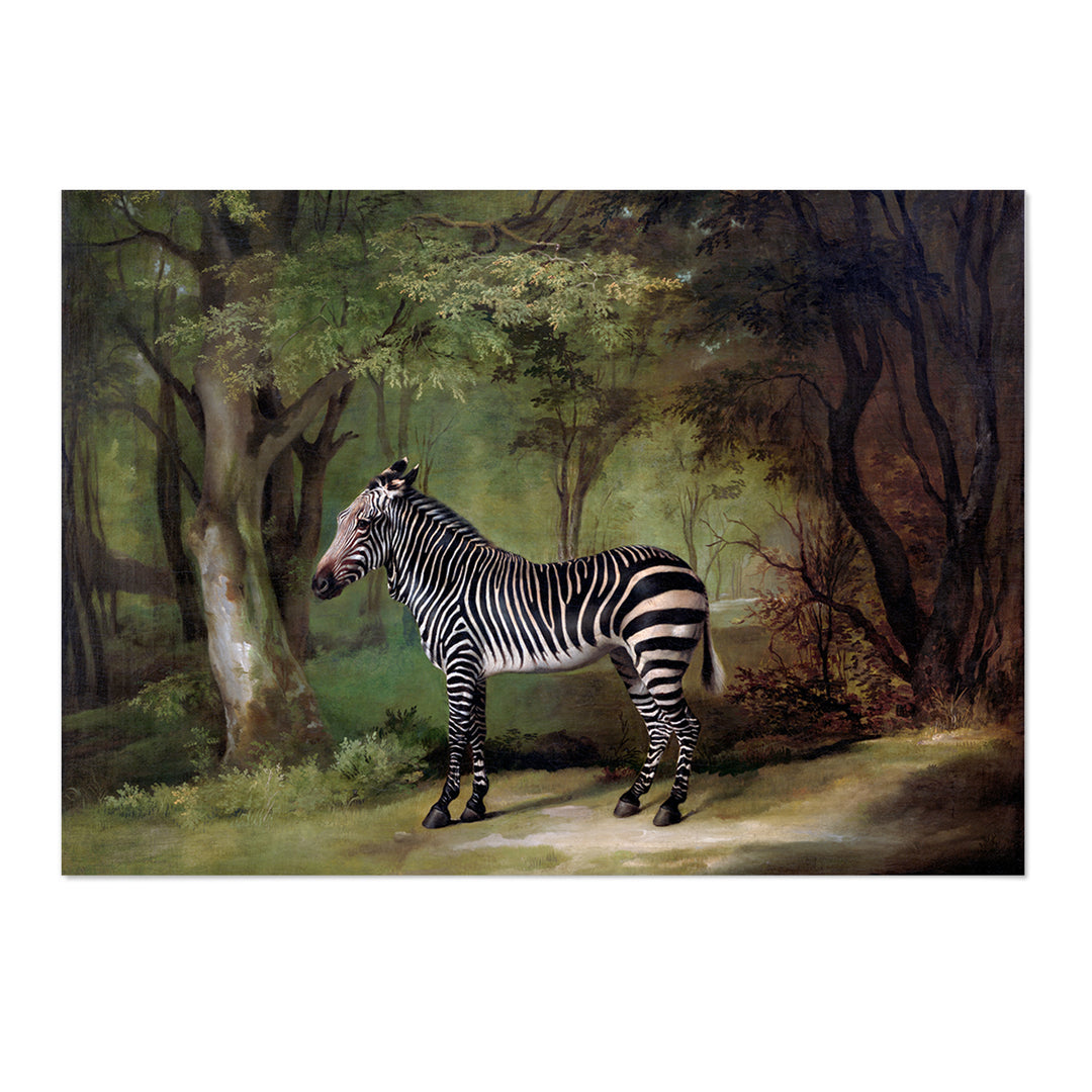 Vintage Zebra Art Print