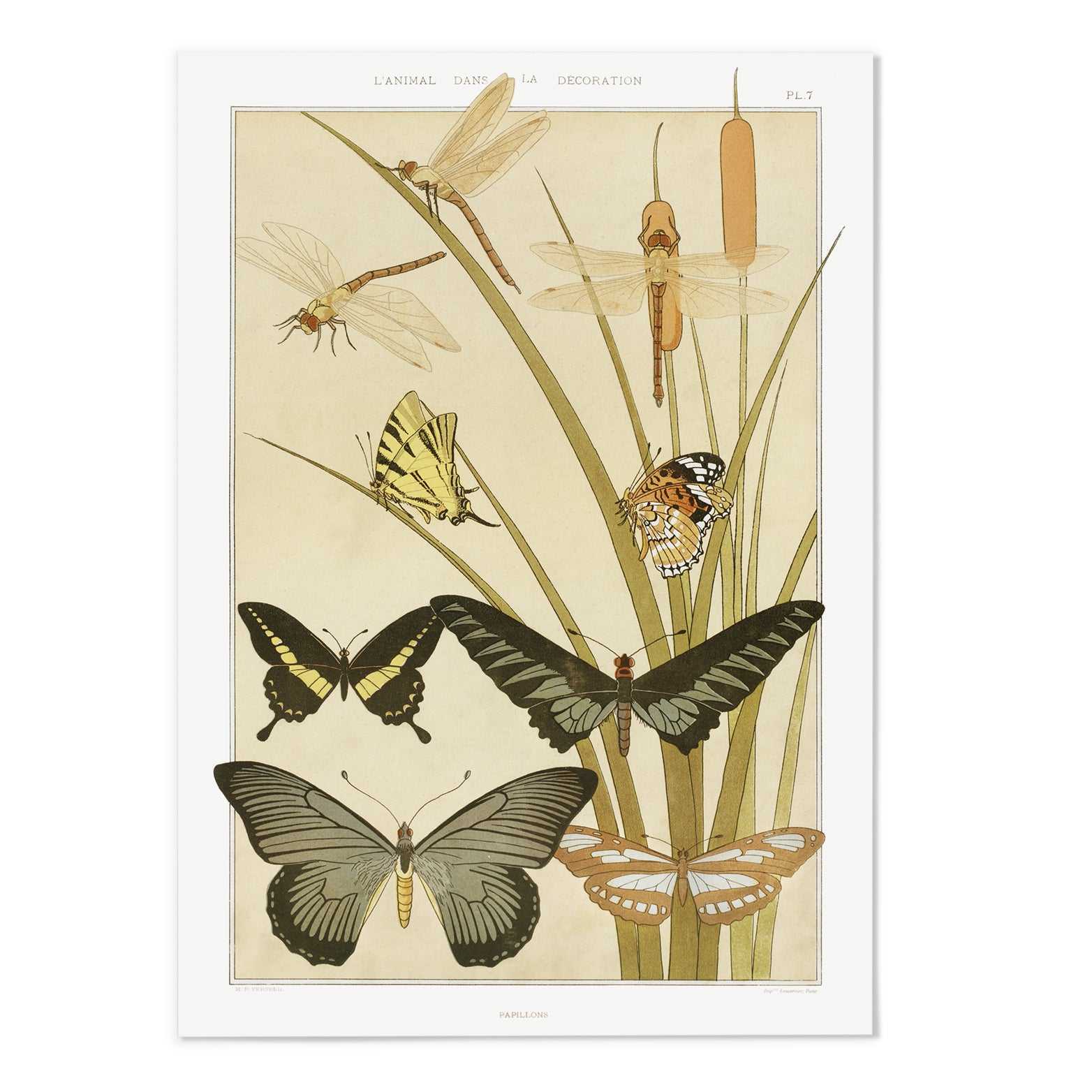 Papillons Art Print