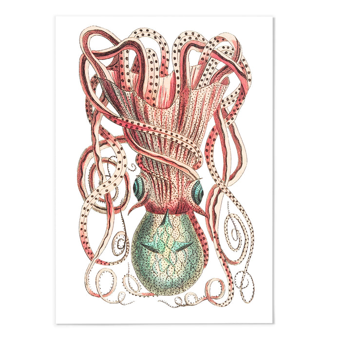 Pink Squid