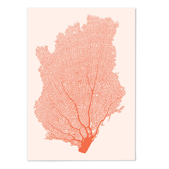 Orange Coral II Art Print