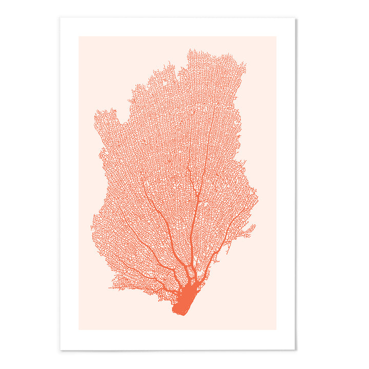 Orange Coral II Art Print