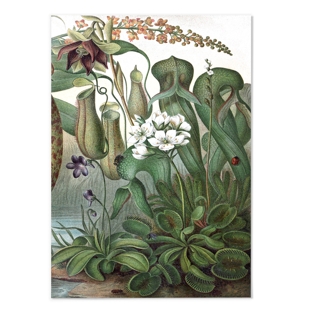 Vintage Botanical I — MJ Design Studio
