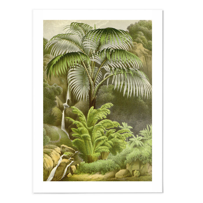Vintage Fern