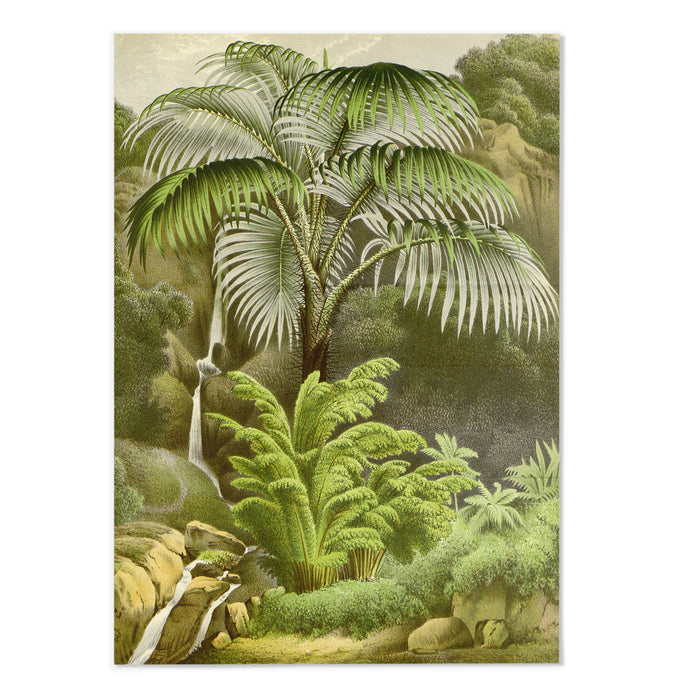 Vintage Fern