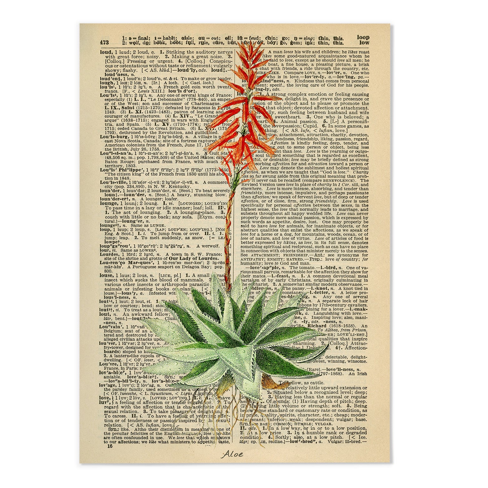 Vintage Dictionary Aloe I Art Print