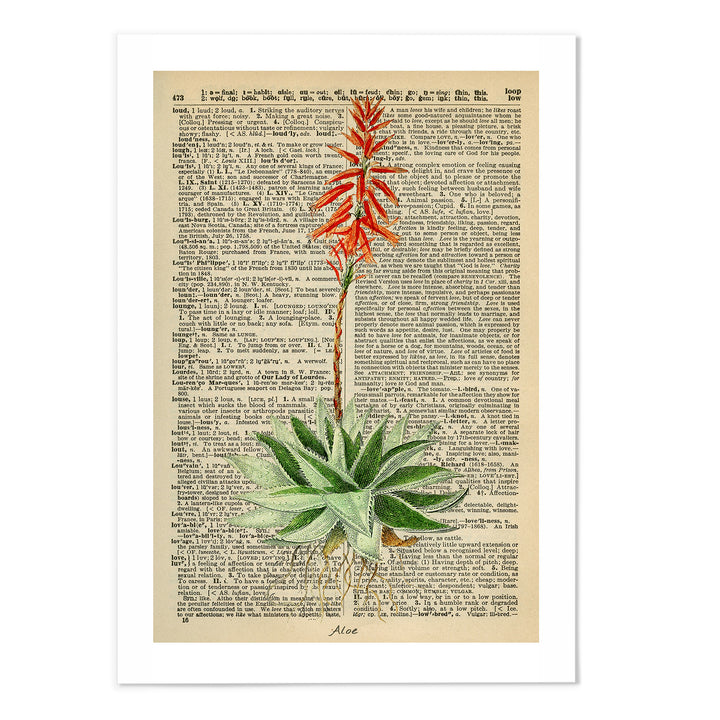 Vintage Dictionary Aloe I Art Print