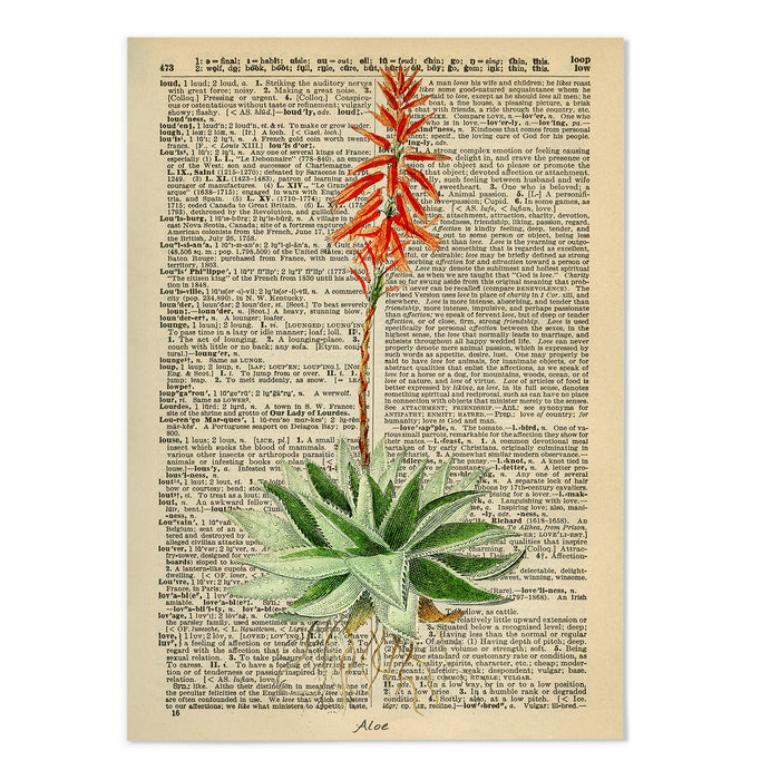 Vintage Dictionary Aloe I