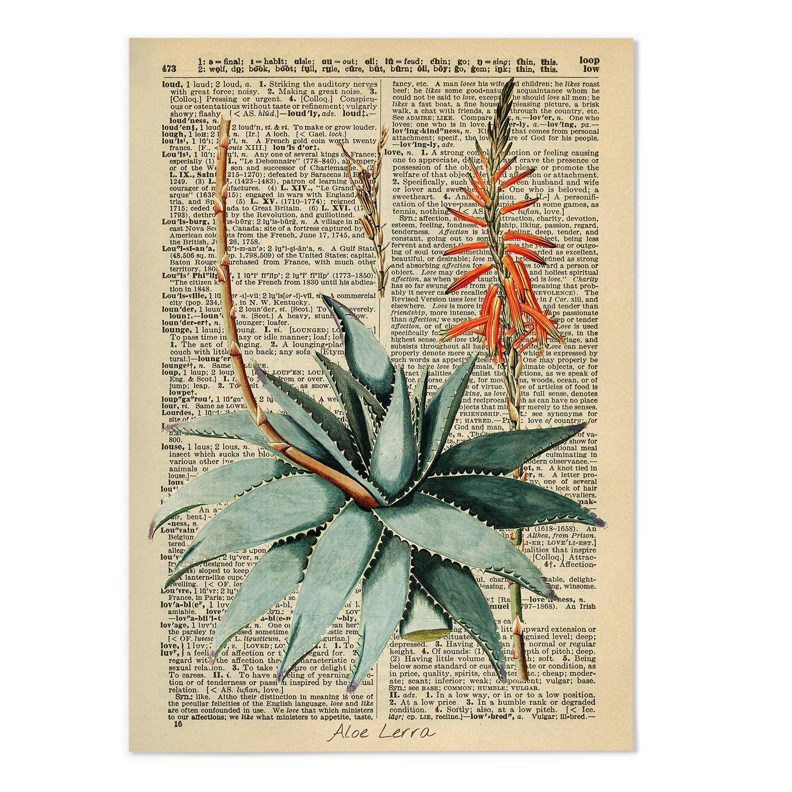 Vintage Dictionary Aloe II Art Print
