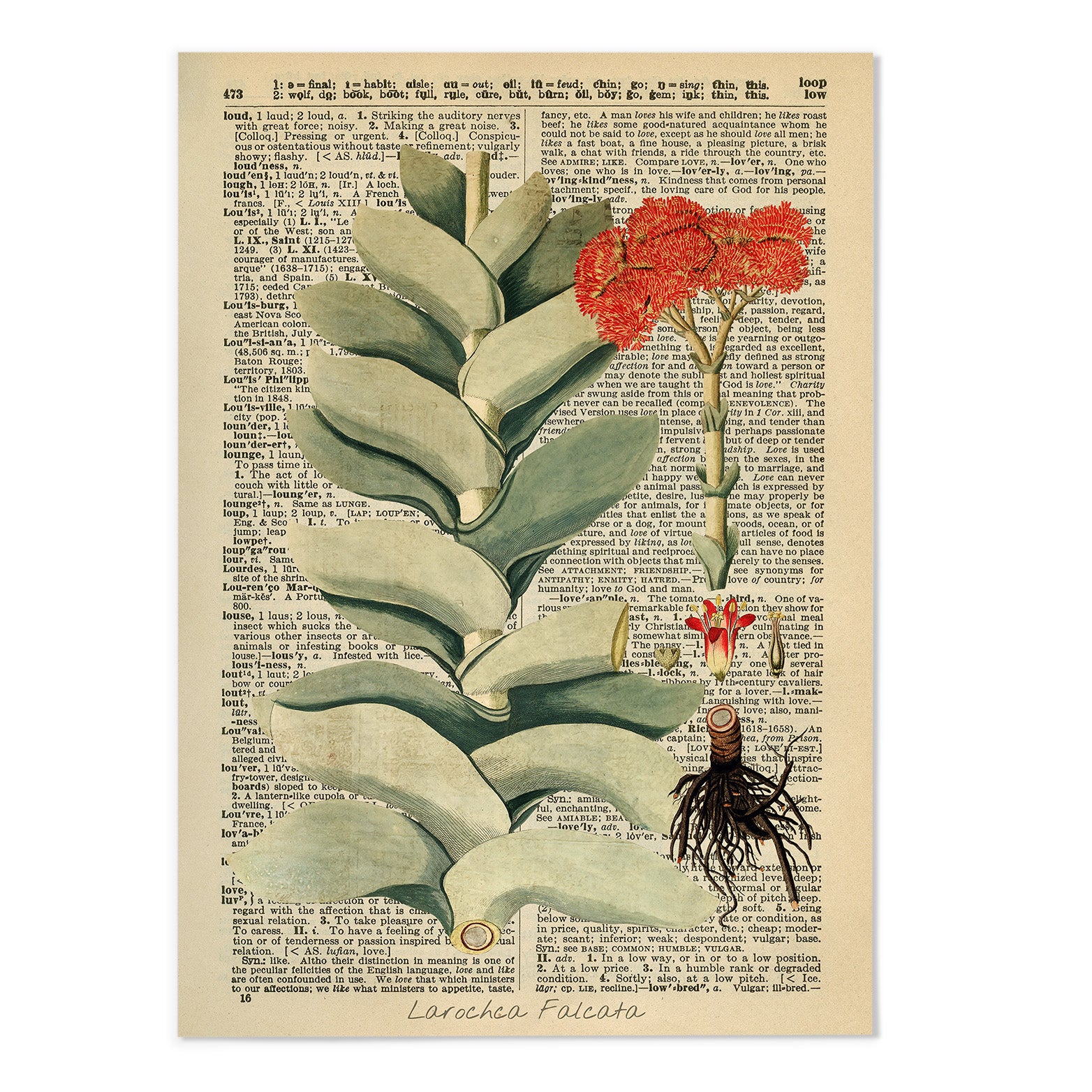 Vintage Dictionary Botanical IV Art Print