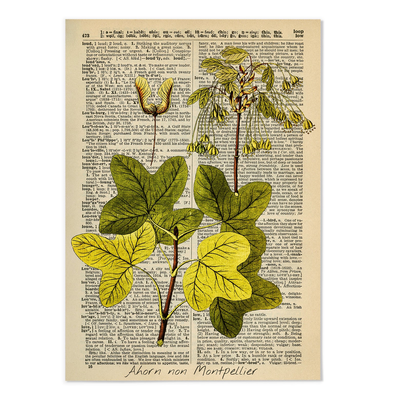 Vintage Dictionary Botanical V Art Print