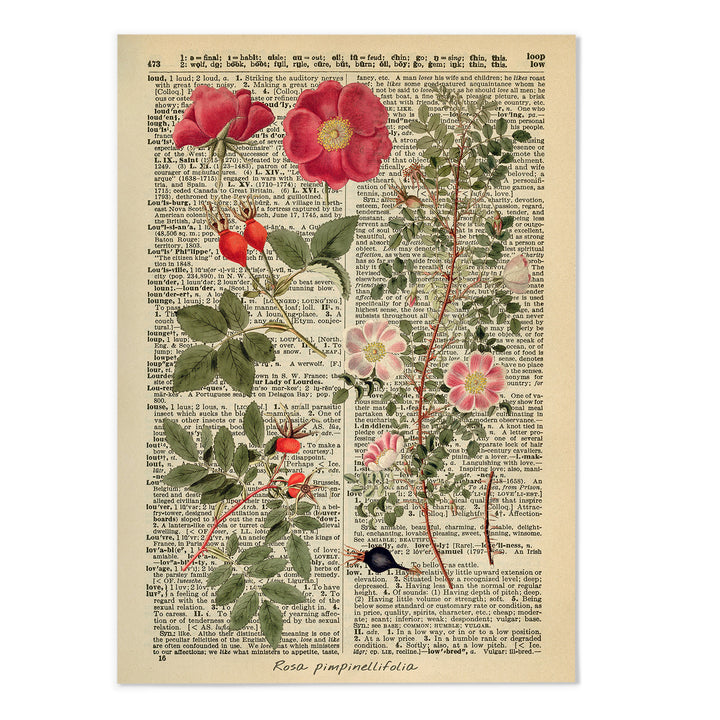 Vintage Dictionary Botanical VII Art Print