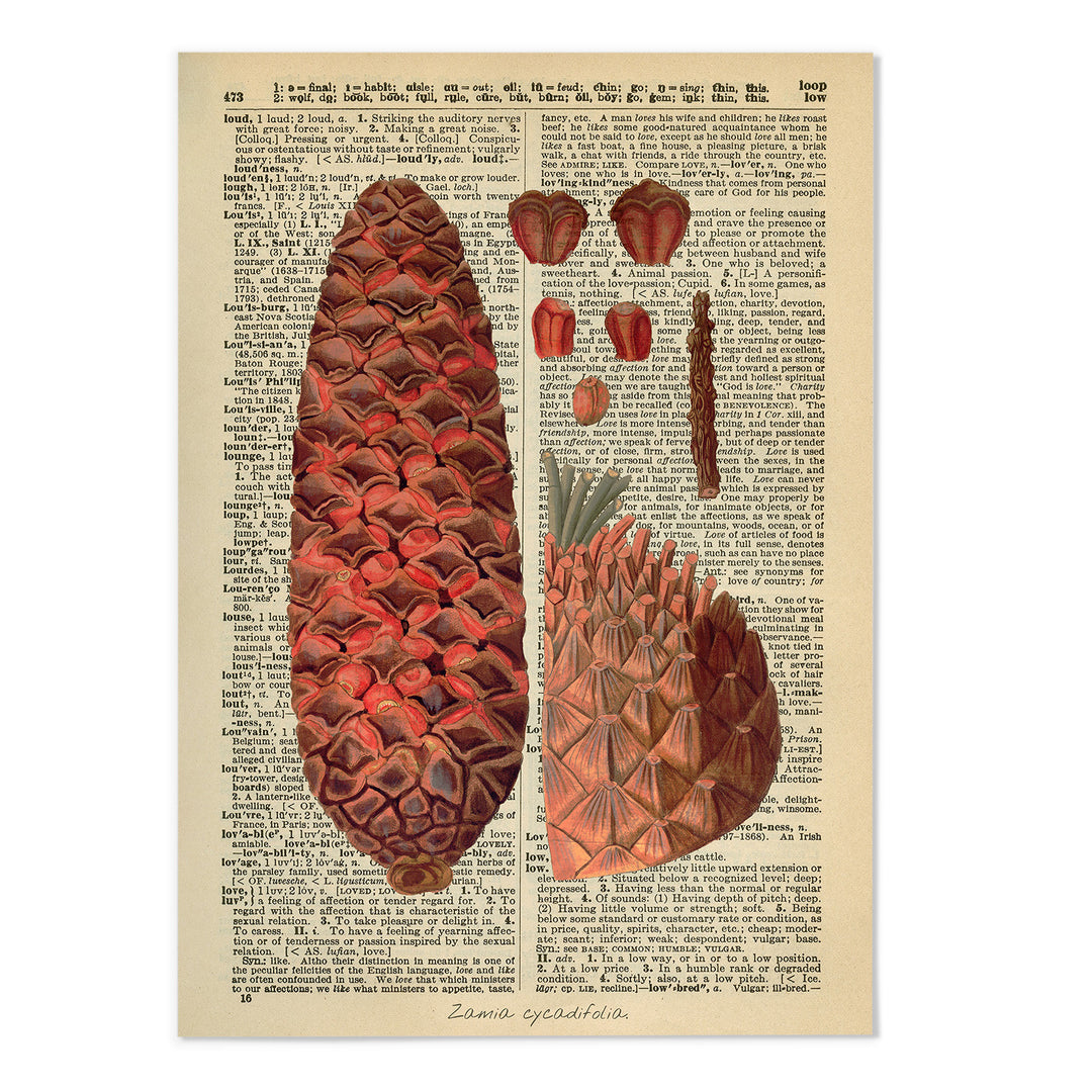 Vintage Dictionary Botanical VIII Art Print