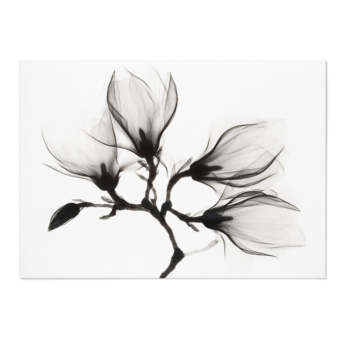 Magnolia Branch with Four Flowers