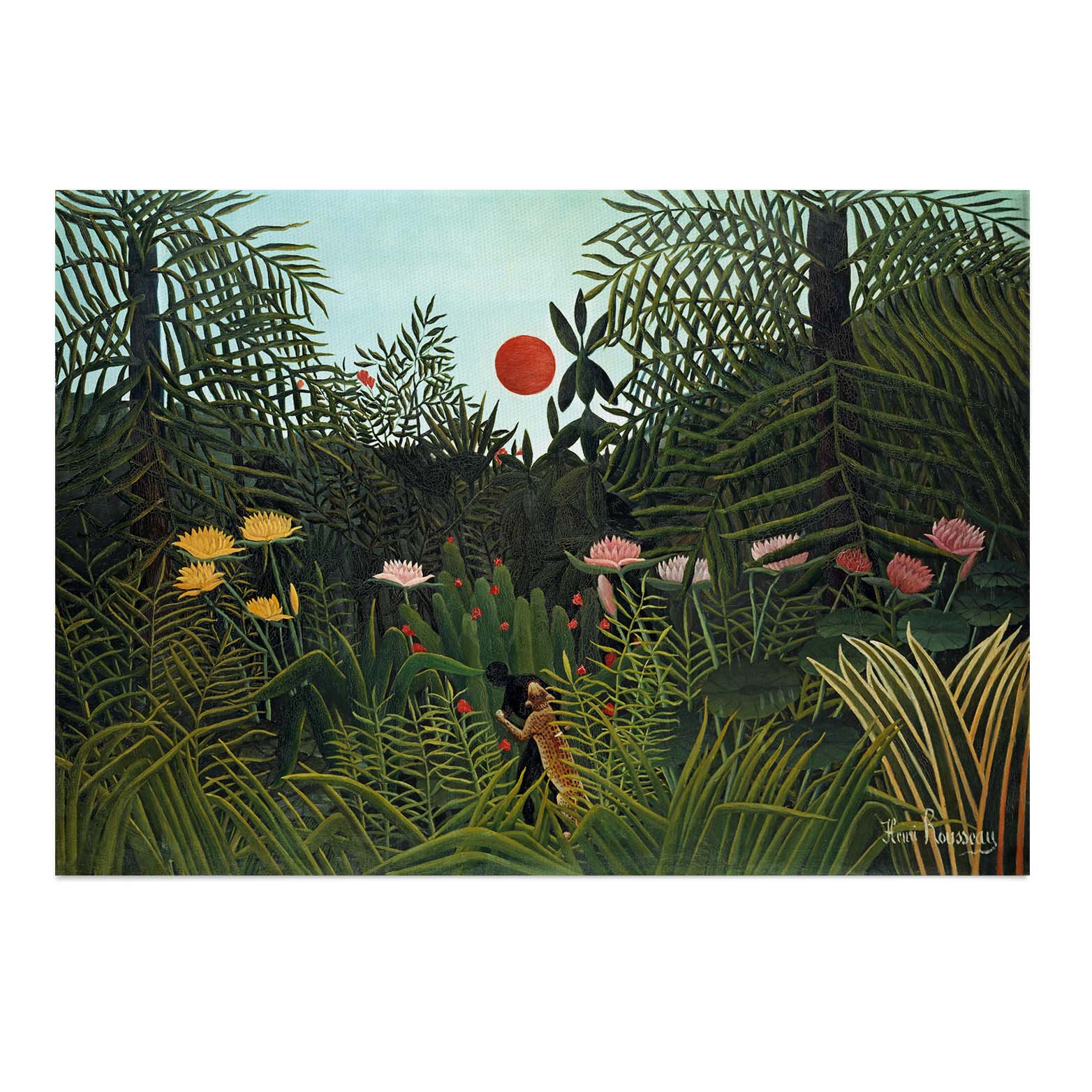 Virgin Forest With Sunset Canvas Print