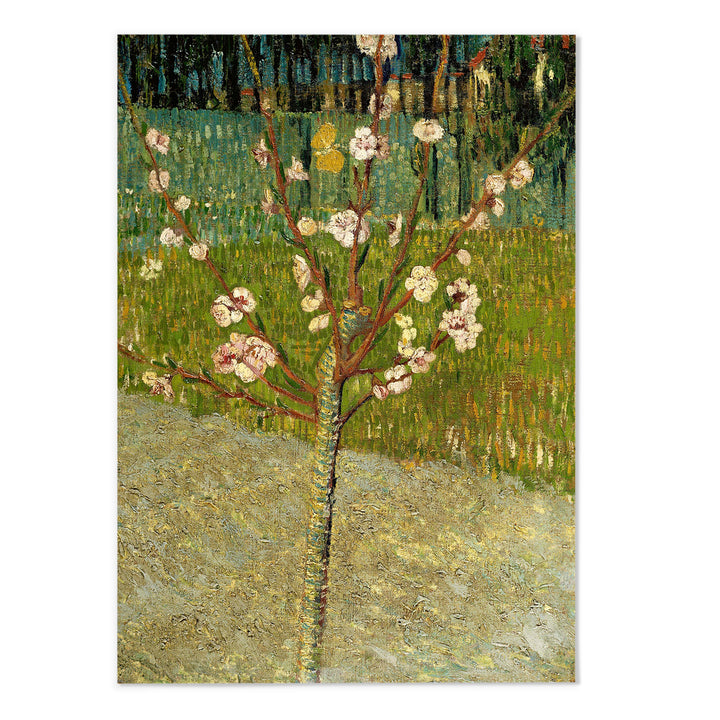 Almond tree in blossom Van Gogh Art Print