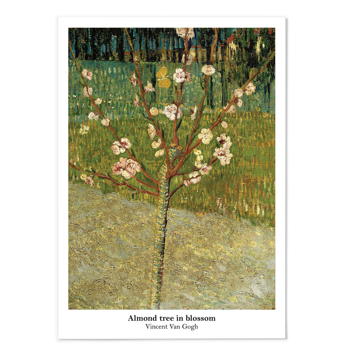 Almond tree in blossom Van Gogh Art Print