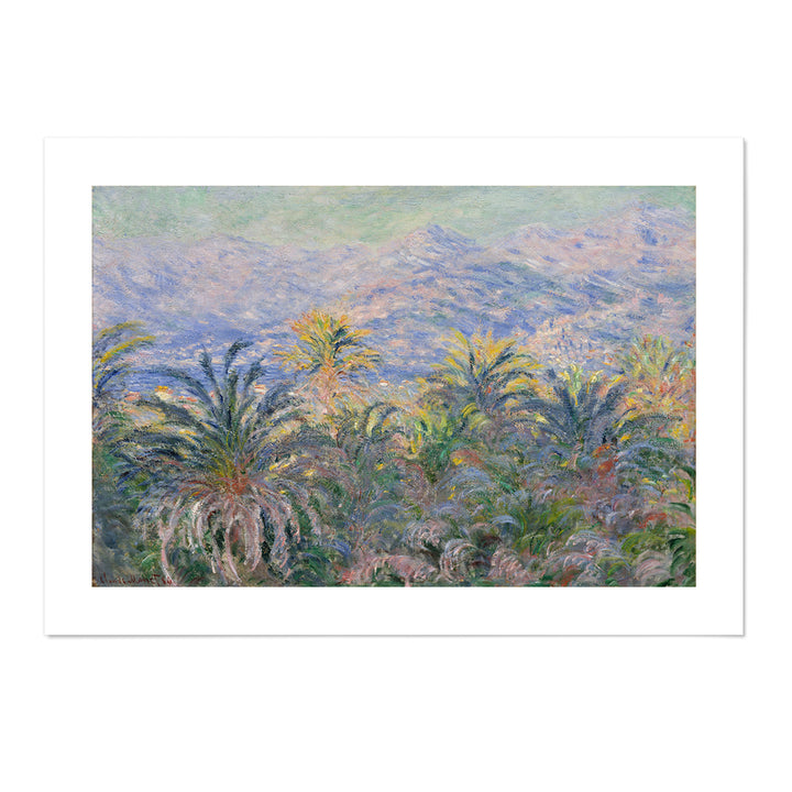 Palm Trees at Bordighera Art Print