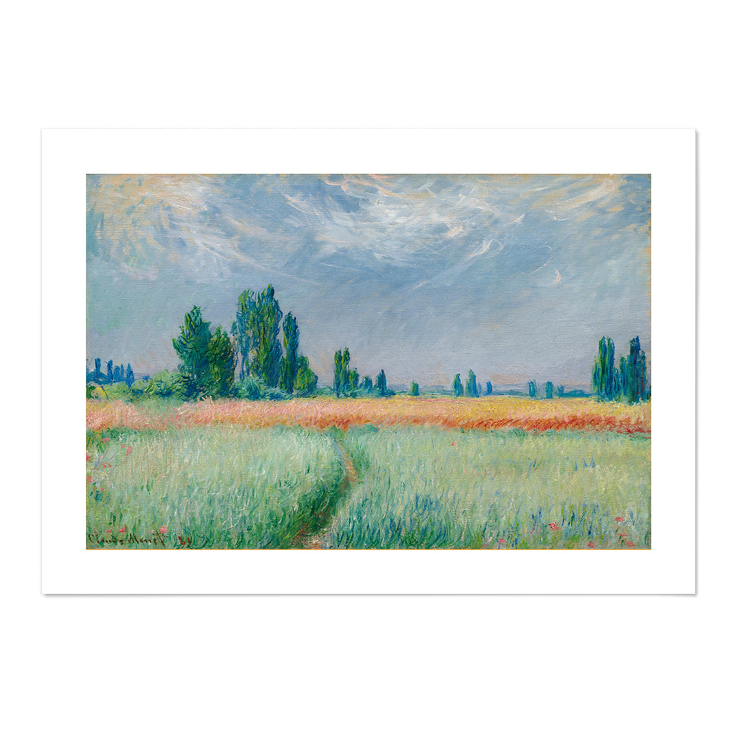 Champ De Blé 1881