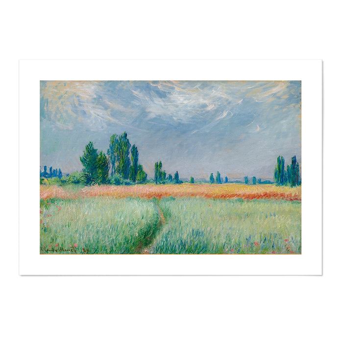 Champ De Blé 1881