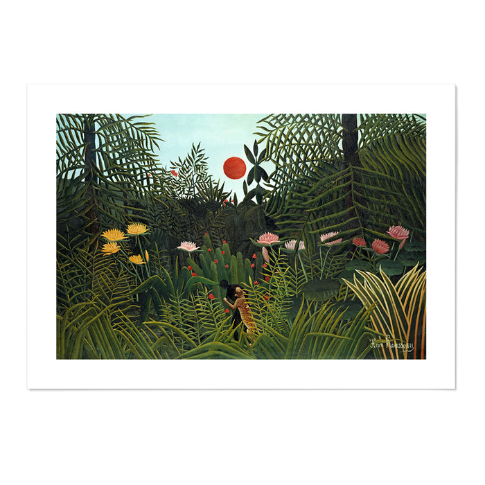 Virgin Forest With Sunset