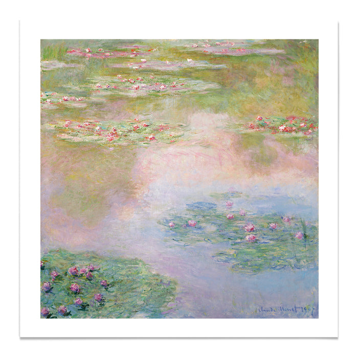 Nymphéas 1907
