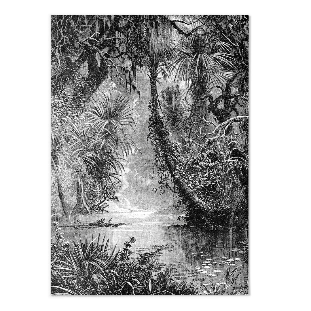 Vintage Jungle VIII Art Print
