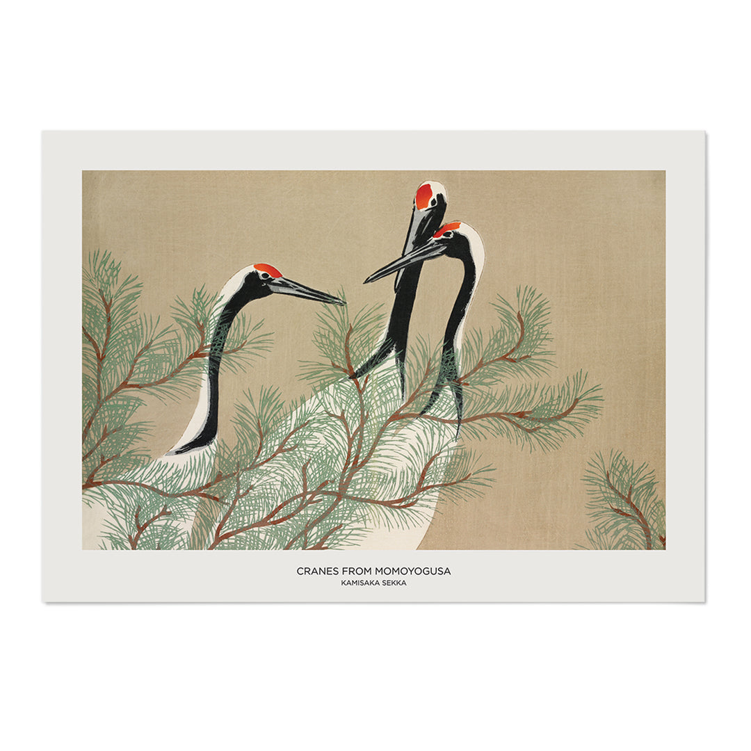 Cranes from Momoyogusa Art Print