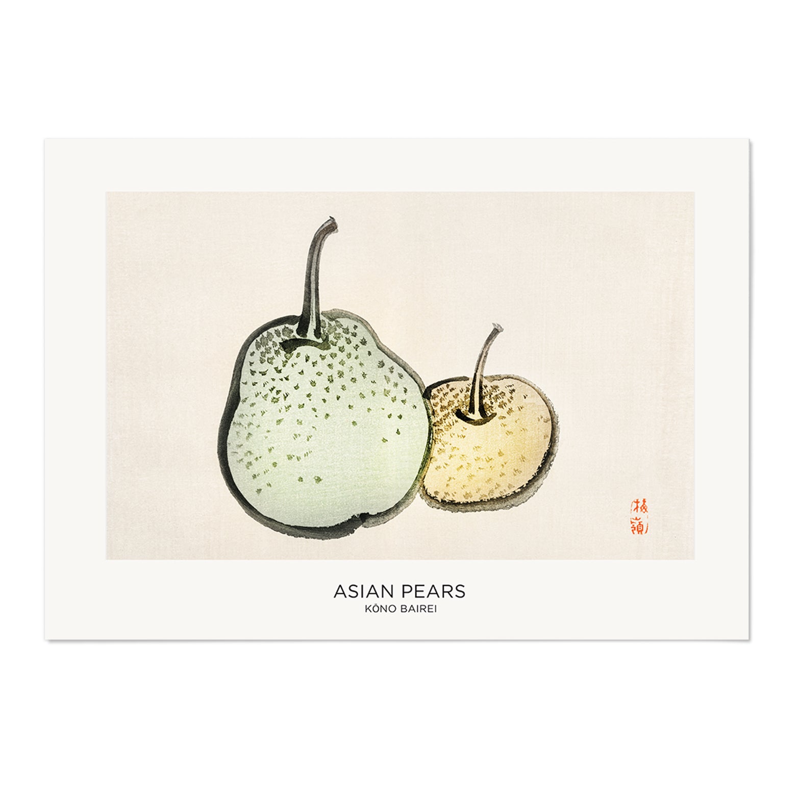 Asian Pears Art Print - MJ Design Studio