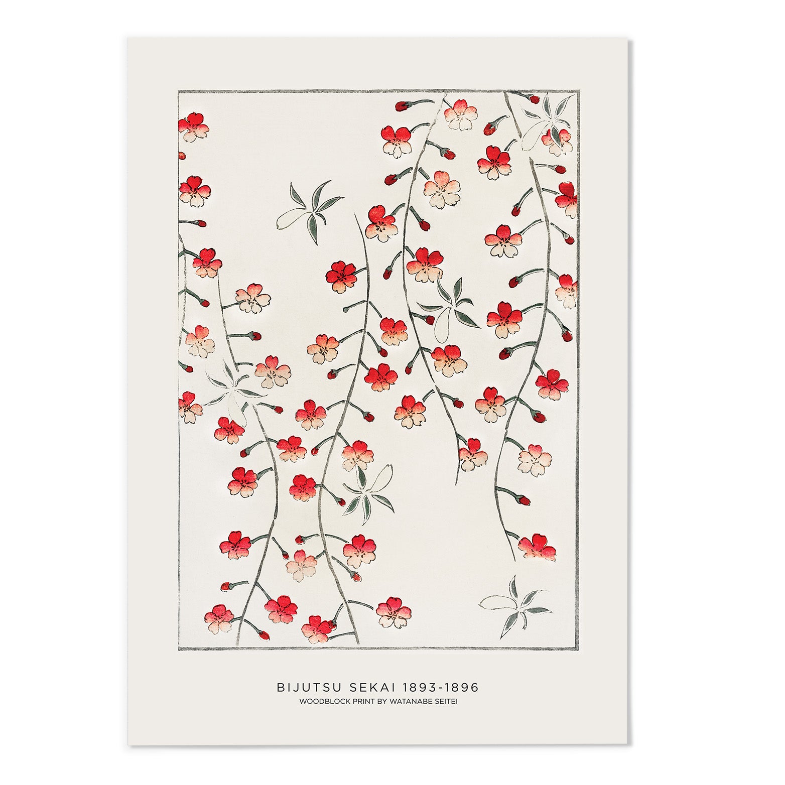 Cherry Blossom Art Print - MJ Design Studio