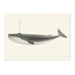 Blue Whale Art Print - MJ Design Studio
