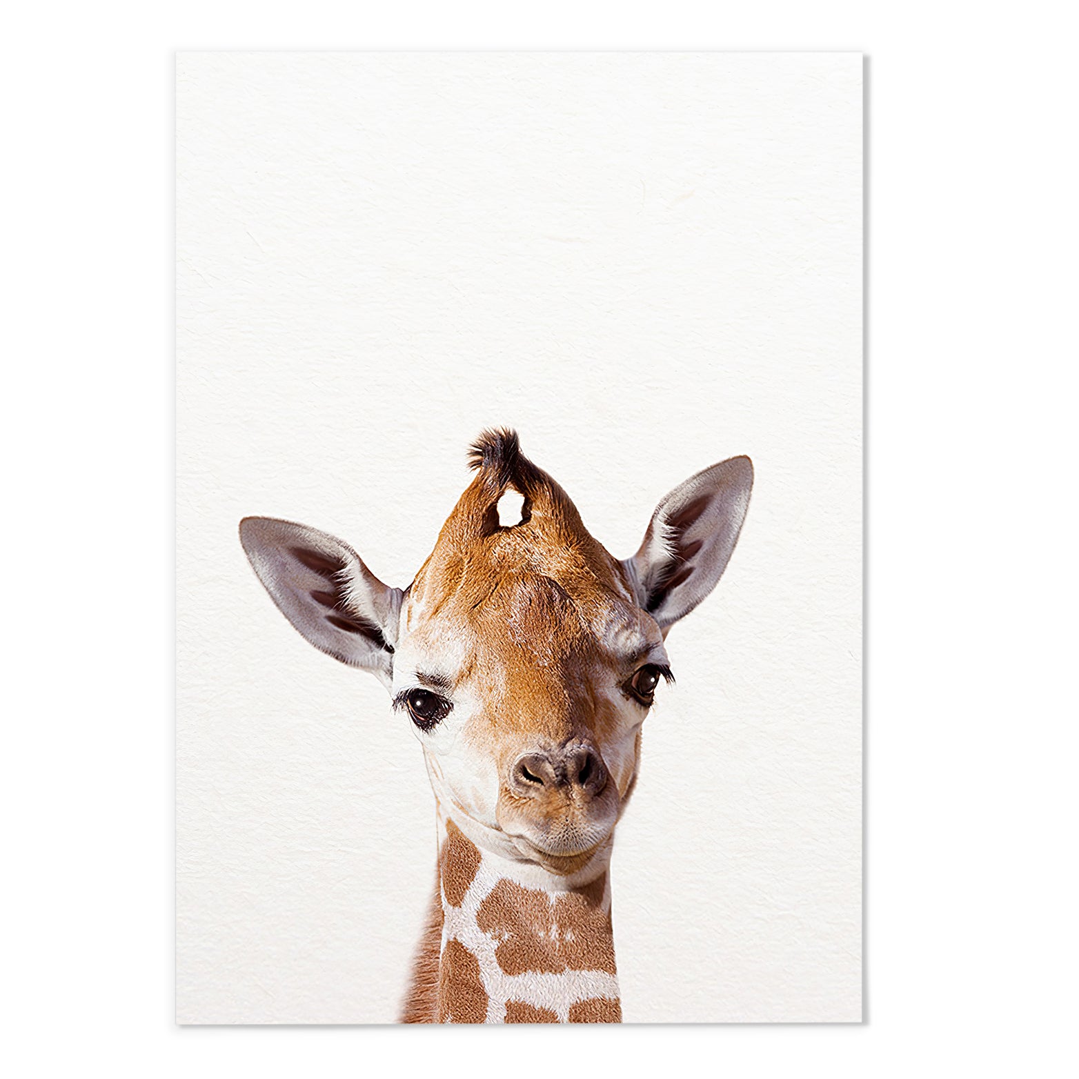 Giraffe Photography Print - MJ Design Studio