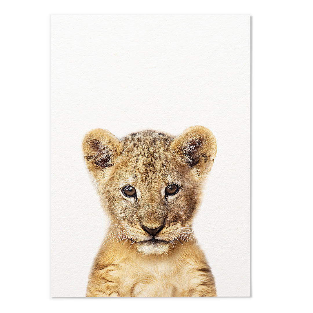 Lion Photography Print - MJ Design Studio