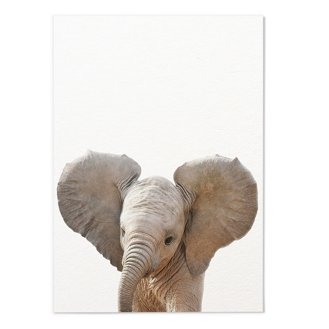 Elephant Photography Print - MJ Design Studio