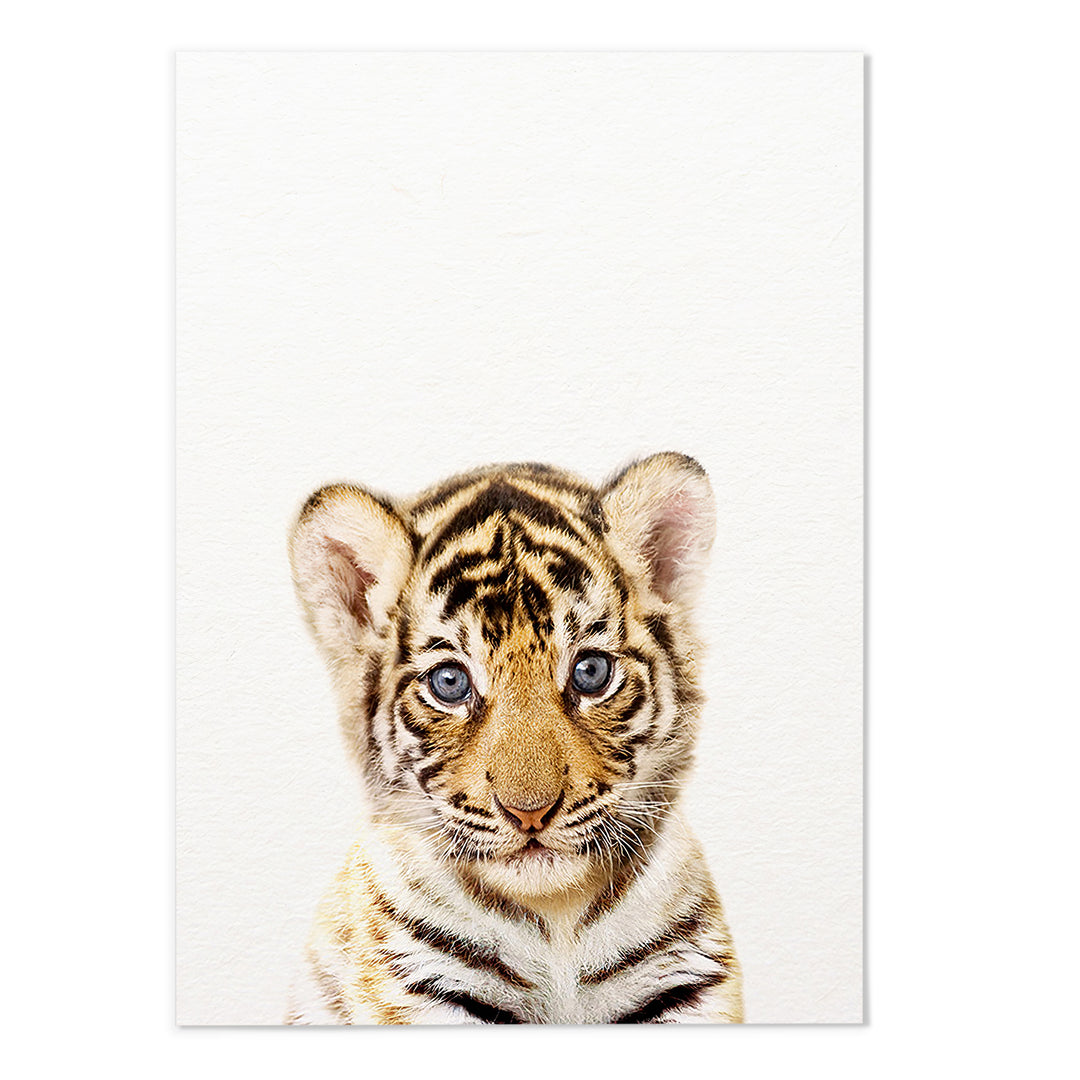 Tiger Photography Print - MJ Design Studio