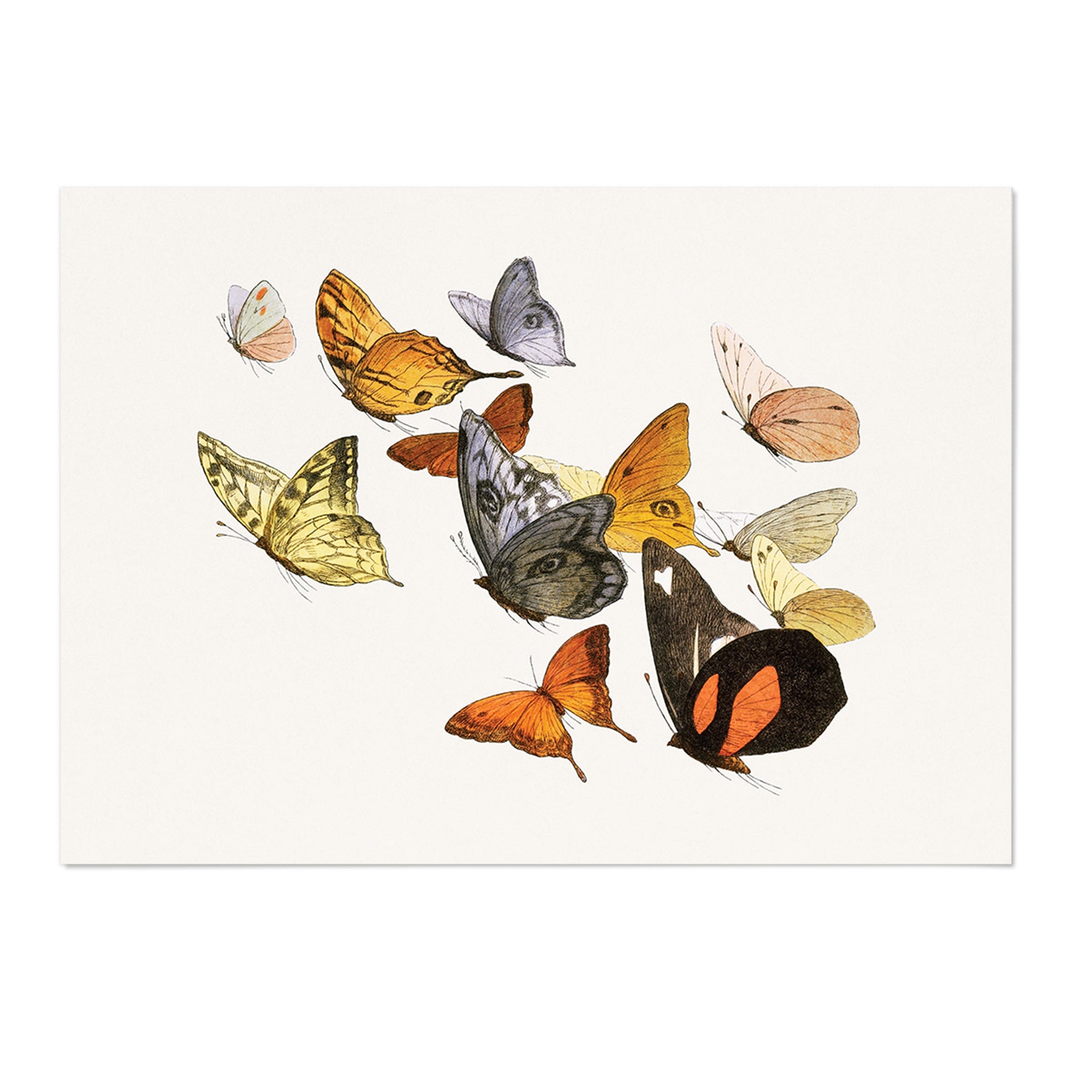 Butterflies Art Print - MJ Design Studio