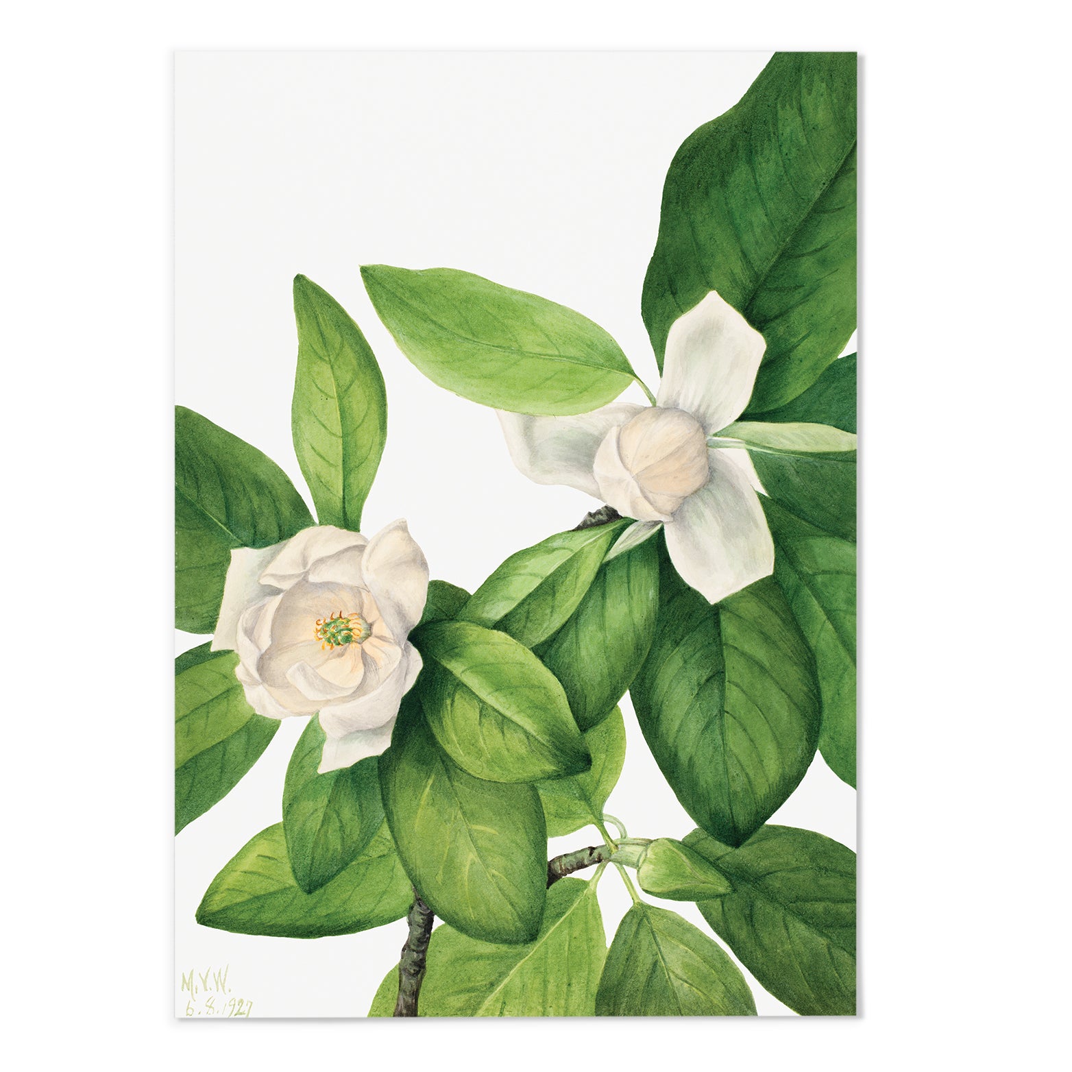 Botanical Gallery Wall Art Set