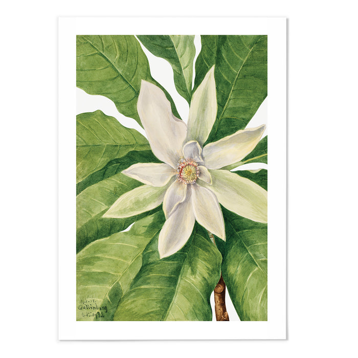 Umbrella Tree Art Print - MJ Design Studio